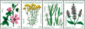 Ilustraciones de diferentes plantas: Malva, Marcela, Carqueja y Menta Peperina.