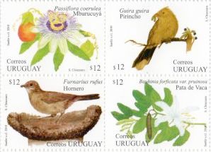 Ilustración de pájaros: Hornero y Pirincho común, y flores: Mburucuyá y Pata de Vaca.