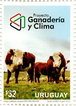 Foto de bovinos en un campo