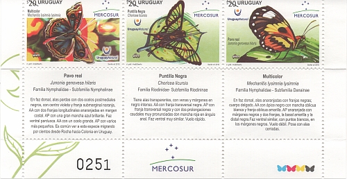 Especies de mariposas: Pavo real, Puntilla Negra y Multicolor.