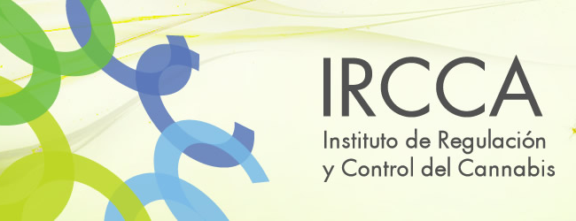 Logo del IRCCA