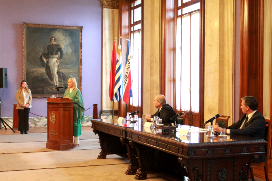 Vicepresidenta de la República haciendo uso de la palabra
