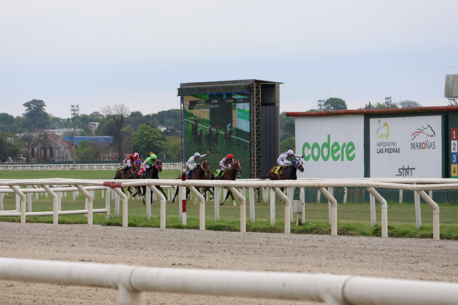 Caballos recorren la pista del Hipódromo Nacional de Maroñas