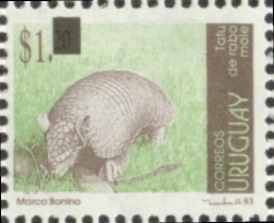 Ilustración de un Tatú sobre pasto verde.