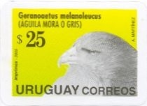 Ilustración de Águila sobre fondo amarillo