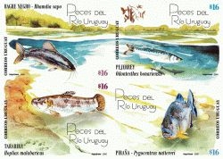 Imagen ilustrada como en acuarela de cuatro peces del Río Uruguay: Bagre Negro, Tararira, Pejerrey y Piraña, los cuatro están en el agua.