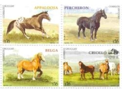 Dibujos de varios caballos sobre la pradera ilustrando las diferentes razas: Appaloosa, Percheron, Belga.