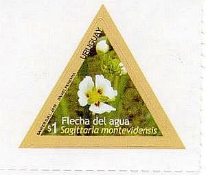 Fotografía de Flecha del agua en marco triangular.