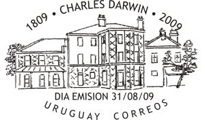 Ilustración en trazo negro de un libro y unos lentes encima.