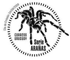 Imagen de araña en trazo negro.