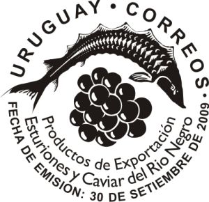 Ilustración de pescado y racimo de uva.