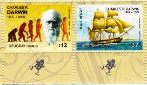 Ilustración de la cadena evolutiva, con la fotografía del rostro de Darwin en el espacio que falta para el eslabón perdido. Al lado ilustración del HMS Beagle