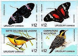 Ilustración de dos mariposas, un carpintero nuca roja y un carpintero siete colores de laguna.