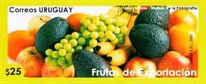 Fotografía de frutas apiladas.
