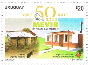 Imagen compuesta por una vivienda precaria a la izquierda, a la que se adjunta una vinchuca, y a la derecha una vivienda decorosa, junto a la que se encuentra una vaquita de San Antonio. Arriba centrado aparece el logo de los 50 años de Mevir.