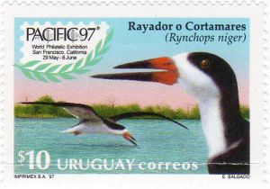 World Philatelic Exibition San Francisco - California Del 29/05 al 08/06/1997 En el sello está representada la imágen de un ave llamada Rayador o Cortamares ( Rynchops niger)