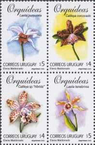 Ilustraciones orquídeas