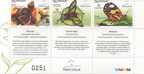Especies de mariposas: Pavo real, Puntilla Negra y Multicolor.