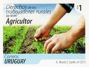 Fotografía manos de agricultor