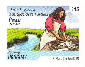 Imagen pesca