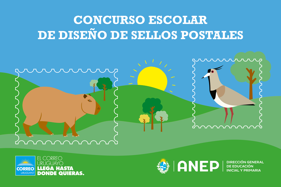 Afiche del concurso